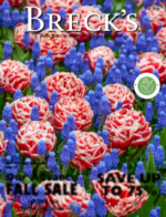 Free Breck’s Gardening Catalog