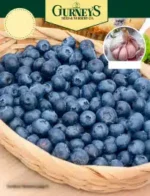 Free Gurney’s Seed and Nursery Catalog