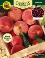 Gurney’s Seed and Nursery Co: Gardening Supply Catalogs
