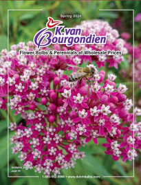K. Van. Bourgondien Catalog