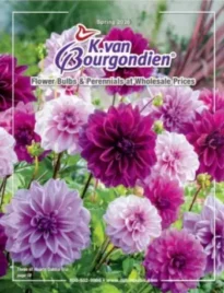 K. Van. Bourgondien Catalog: Gardening Supply Catalogs