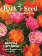 Park Seed Gardening Catalog: A collection of vibrant vegetable and flower seed packets arranged on a rustic wooden table with gardening gloves.