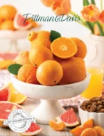 Pittman & Davis Catalog: Food & Beverage Catalogs