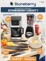 Stoneberry Catalog: Electronics Catalogs