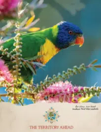 A collection of rugged menswear including canvas jackets and textured cotton shirts from the Territory Ahead Catalog.