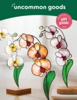 Uncommon Goods Gift Catalog: Gift & Collectible Catalogs