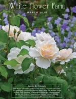 White Flower Farm Catalog: Gardening Supply Catalogs