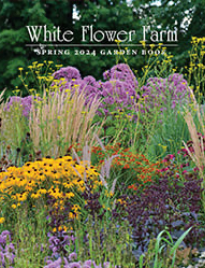 White Flower Farm Catalog
