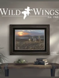 Wild Wings Catalog: Home Decor Catalogs